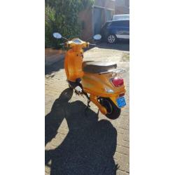 Nette elektrische scooter met nieuwe accu's