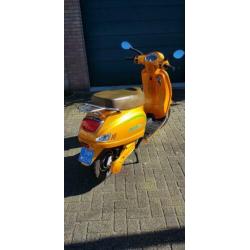 Nette elektrische scooter met nieuwe accu's
