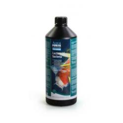 Melkzuurbacteriën 1ltr / Melkzuurbacteriën 5 ltr