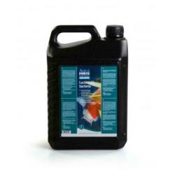 Melkzuurbacteriën 1ltr / Melkzuurbacteriën 5 ltr