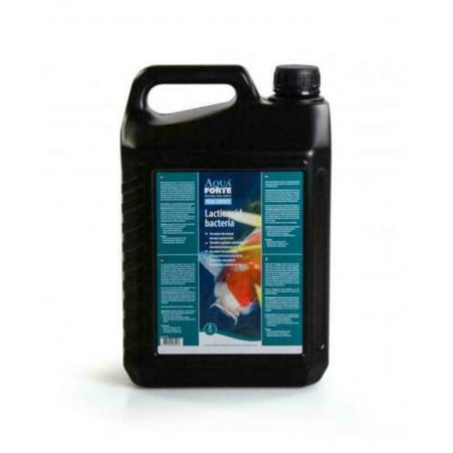 Melkzuurbacteriën 1ltr / Melkzuurbacteriën 5 ltr