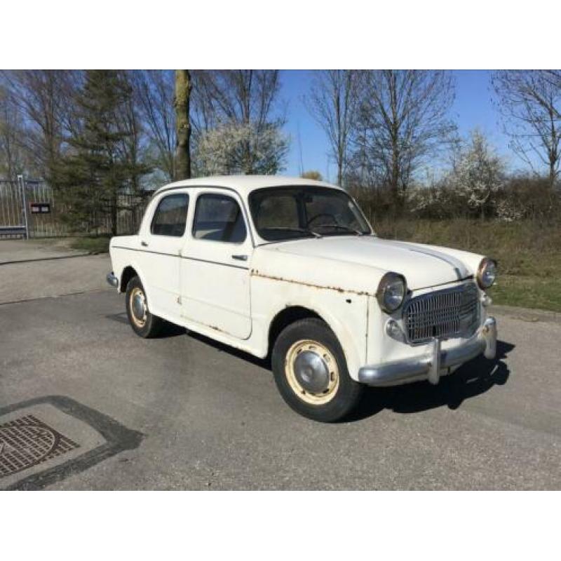 Fiat 1100 103H oldtimer millecento 1959