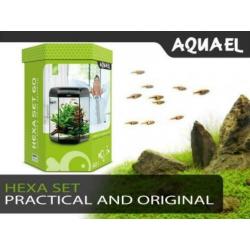 Alle aquaria ,levering uit voorraad, 24 uur service,
