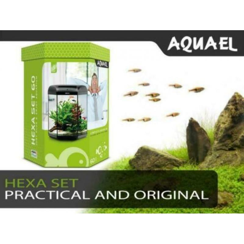 Alle aquaria ,levering uit voorraad, 24 uur service,