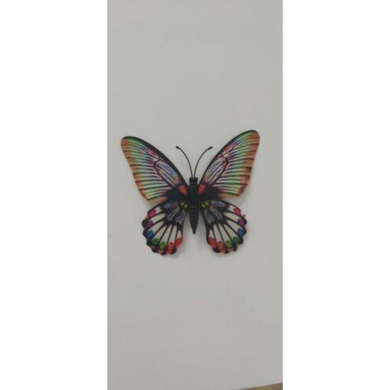 Magnetische vlinders en libellen