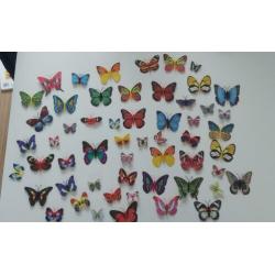 Magnetische vlinders en libellen