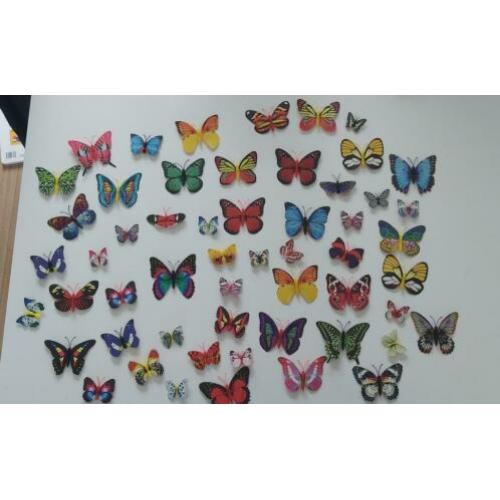 Magnetische vlinders en libellen