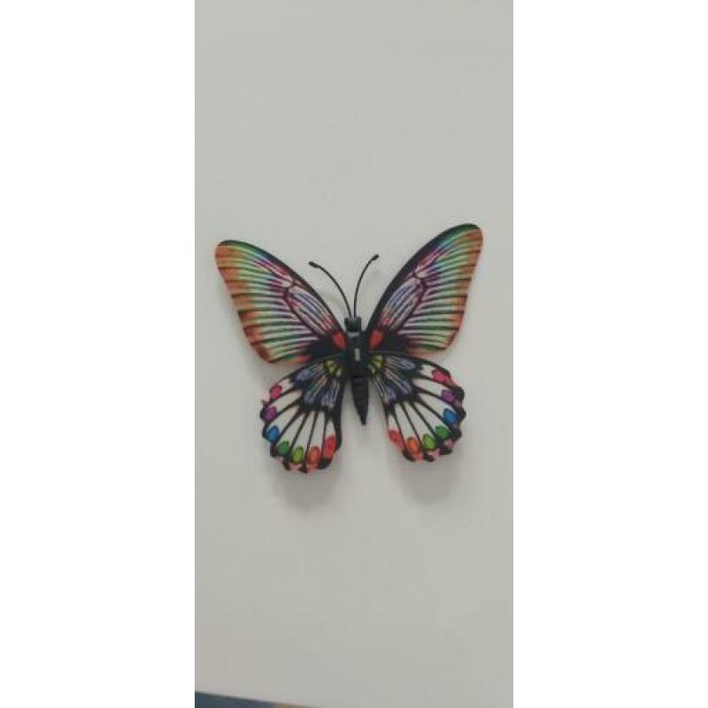 Magnetische vlinders en libellen