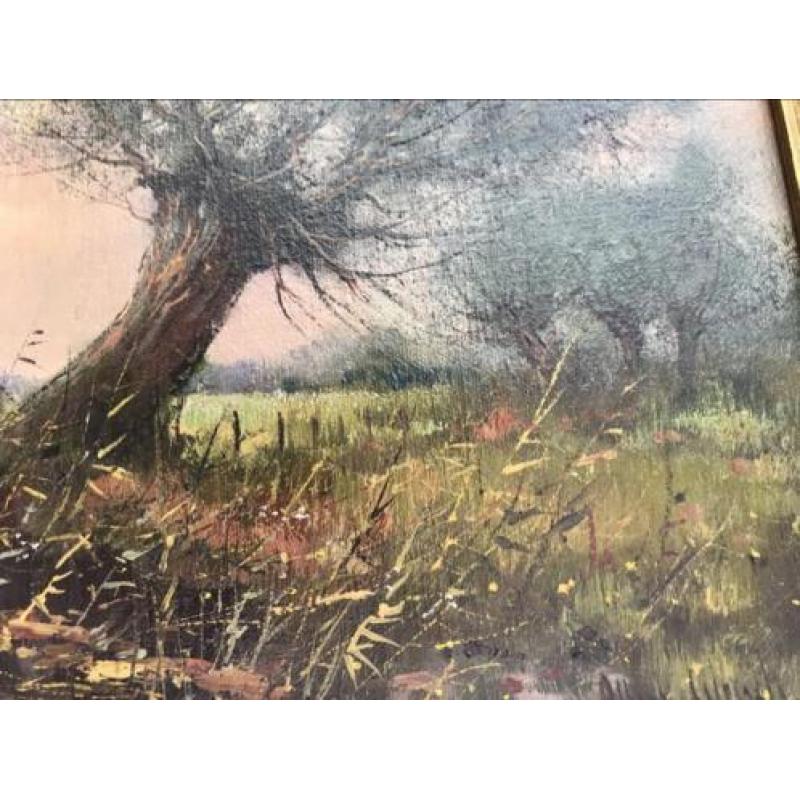 Schilderij olieverf doek Albert Wessels