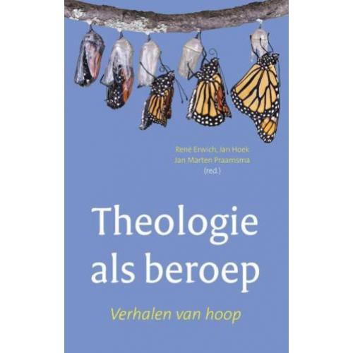 Theologie als beroep 9789043523035
