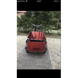 Babboe big bakfiets