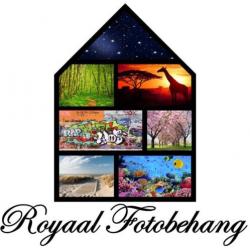 Hout Steigerhout Vliesbehang Fotobehang 368×254 8N-920