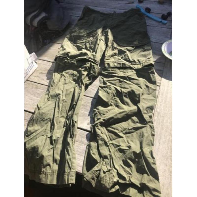 Wildroses afritsbroek d36